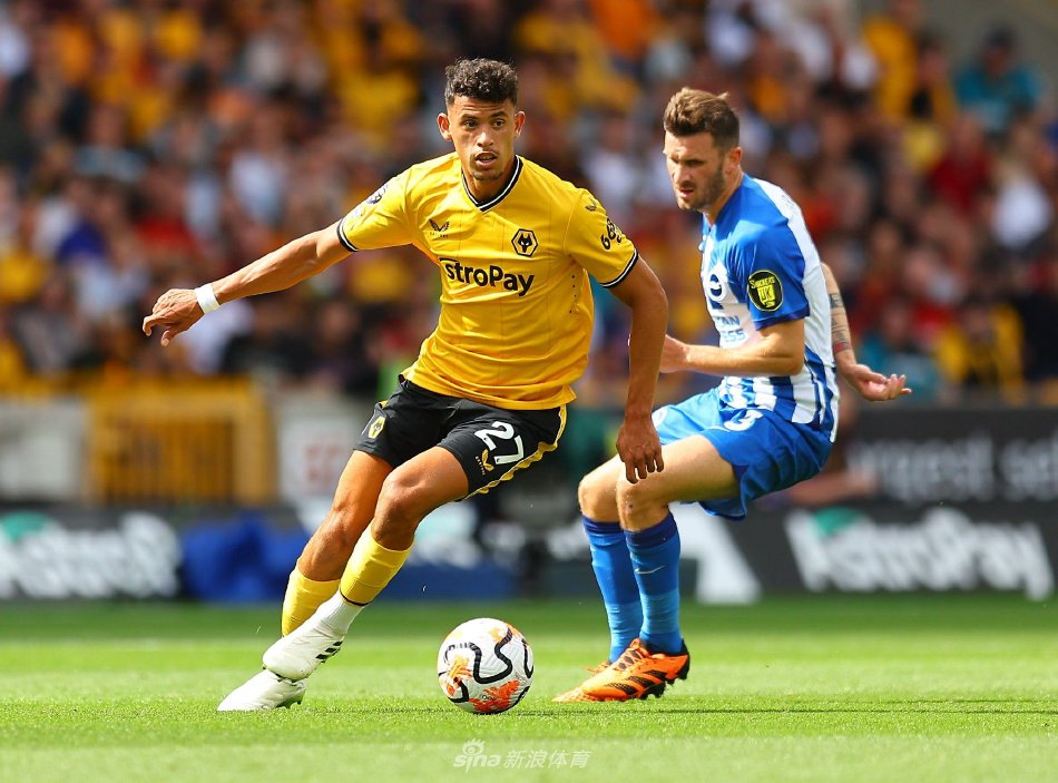 程与发展的 程与发展的